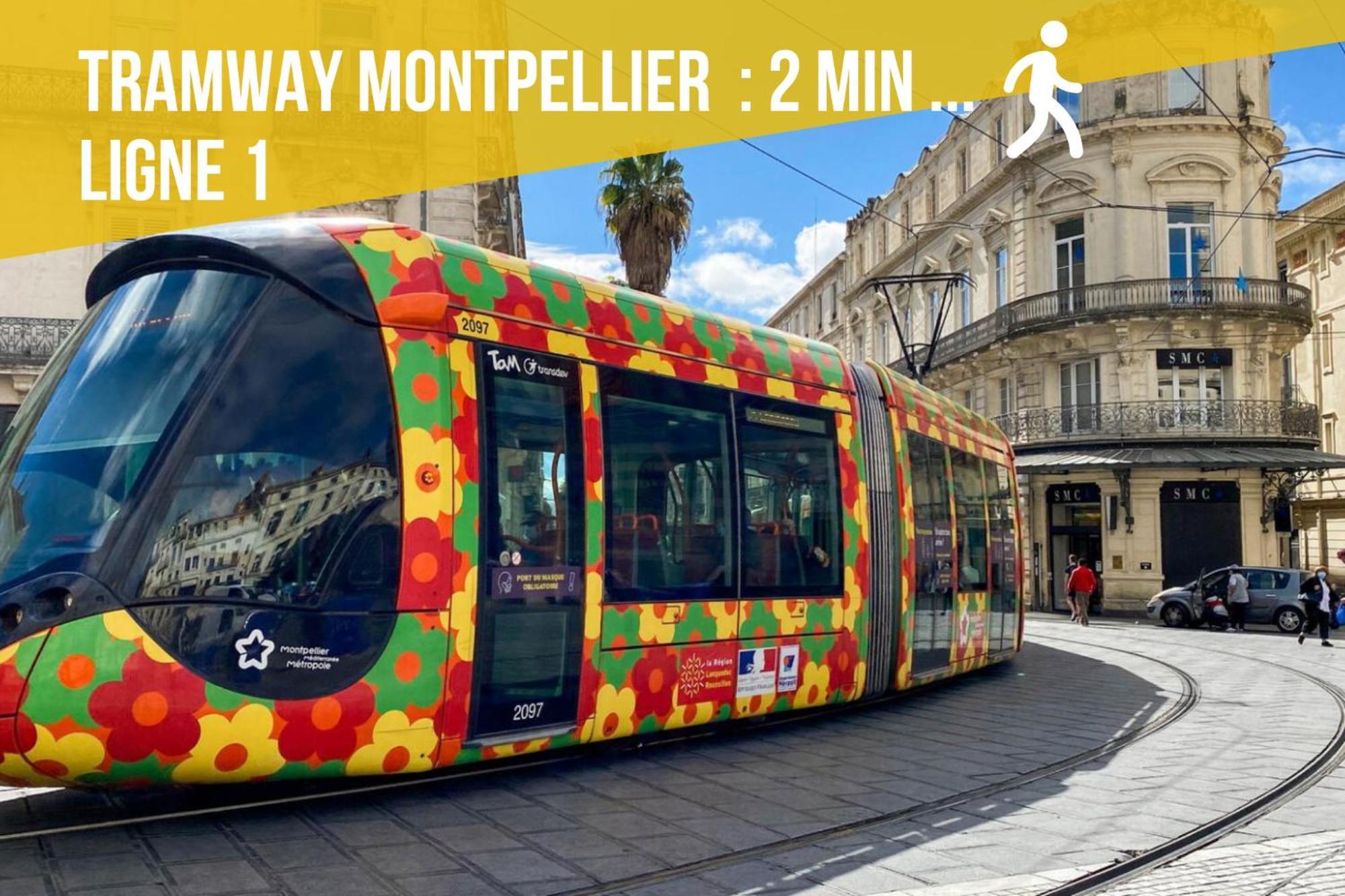 Le Chapeau Rouge - Centre Historique - Corum - Tramway - Climatisation Montpellier Dış mekan fotoğraf